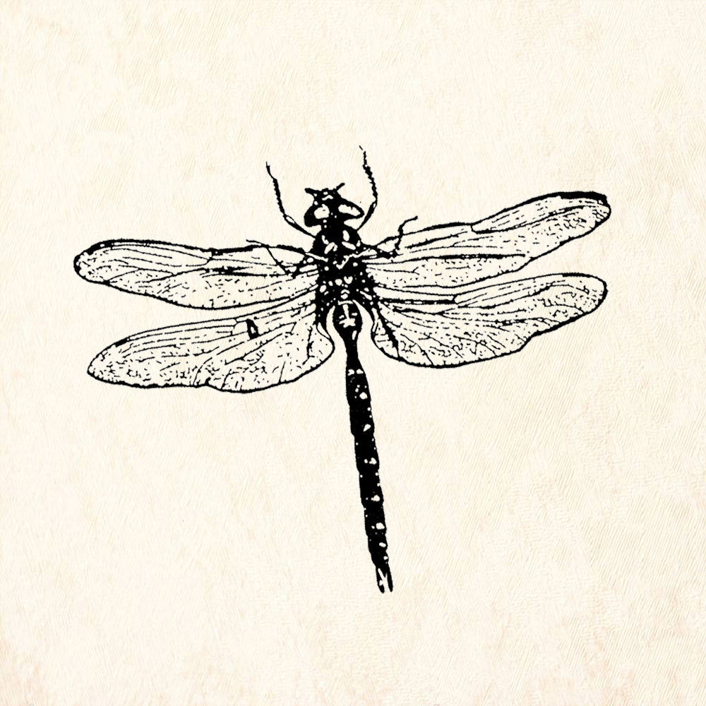 StampaFe Dragonfly Rubber Art Stamp