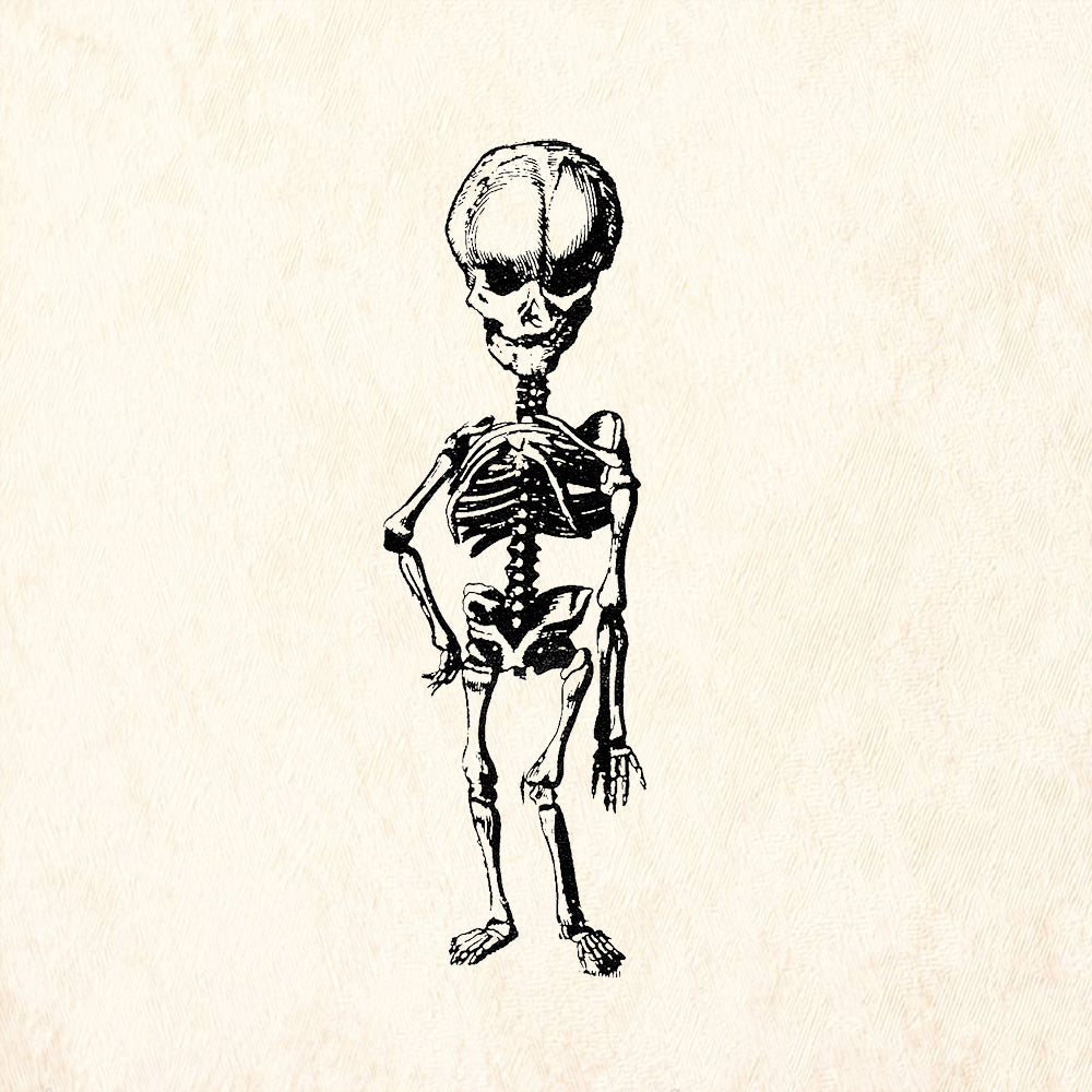 StampaFe I'm Back Skeleton Halloween Rubber Art Stamp