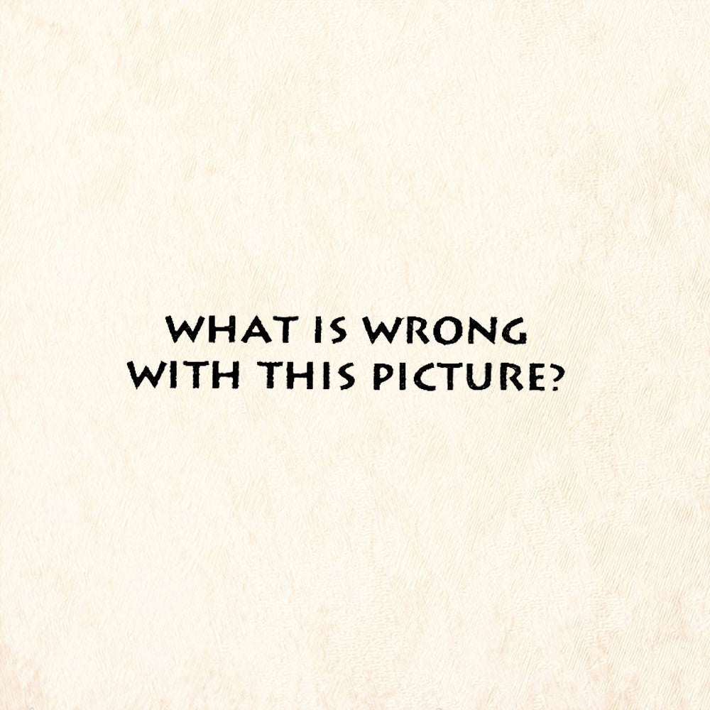 StampaFe What Is Wrong With This Picture Humorous Rubber Art Stamp