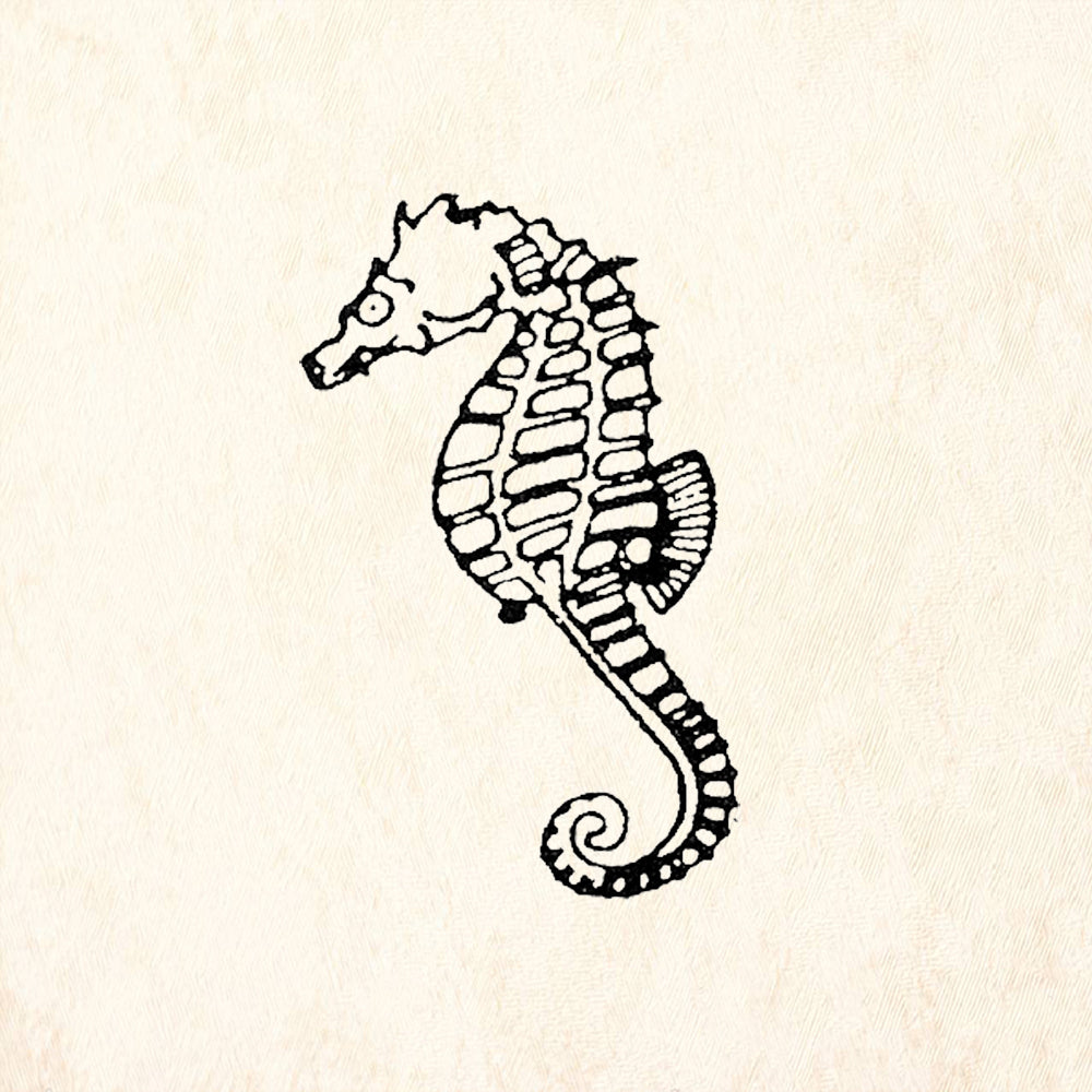 StampaFe Large Left-Facing Seahorse Rubber Art Stamp