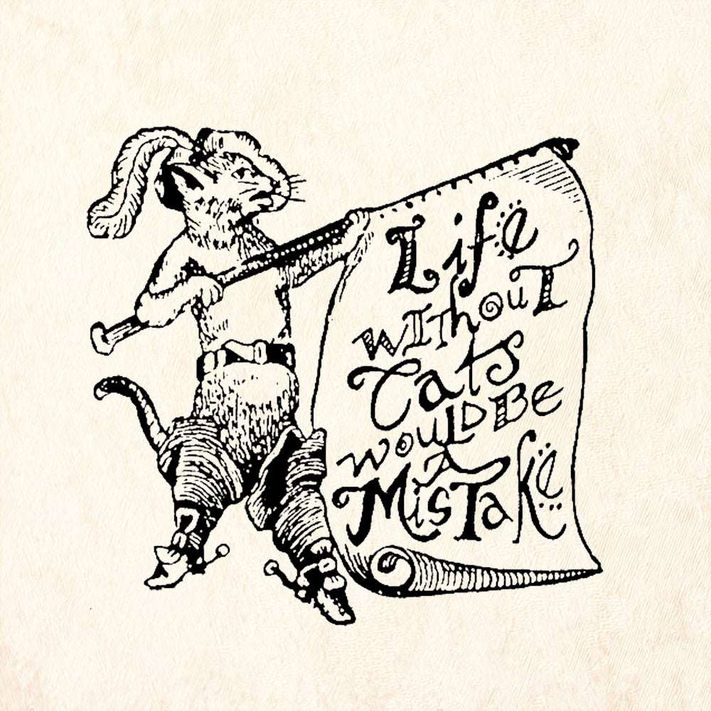 StampaFe Life Without Cats Rubber Art Stamp