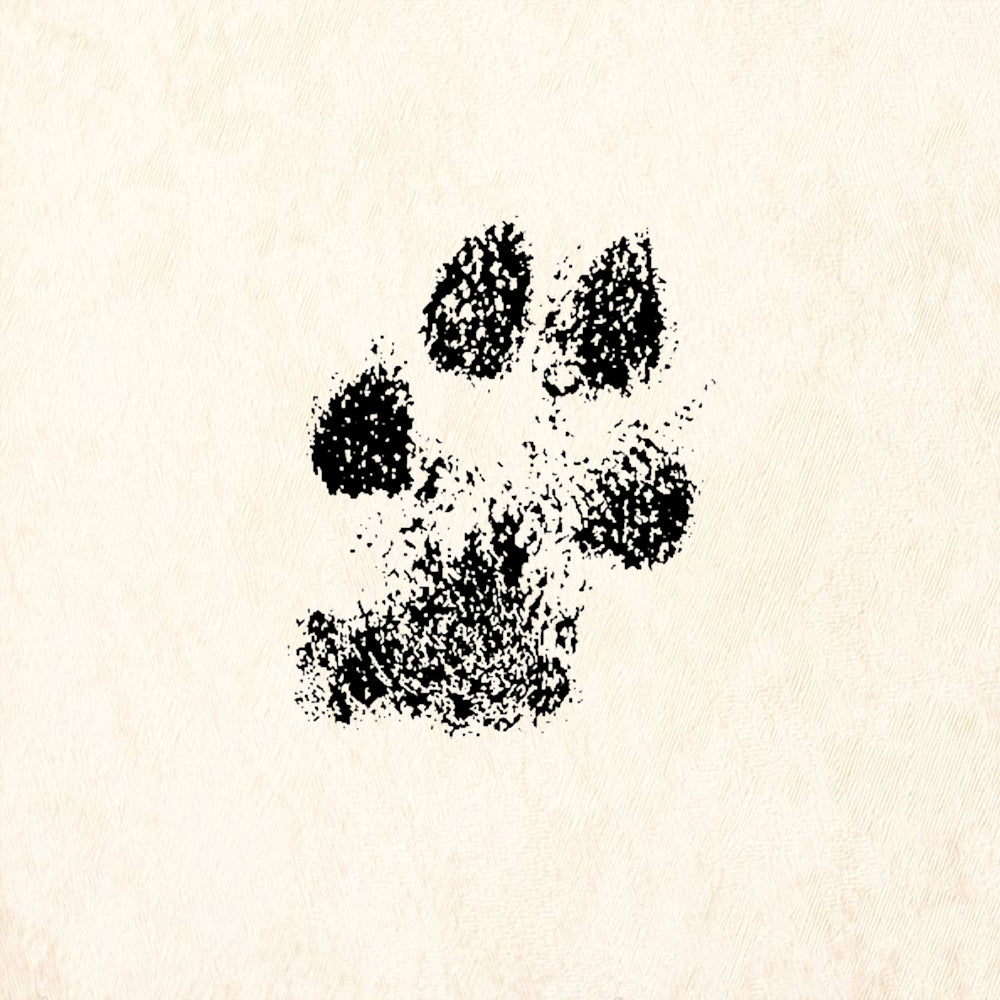 StampaFe Dog Paw Print Rubber Art Stamp