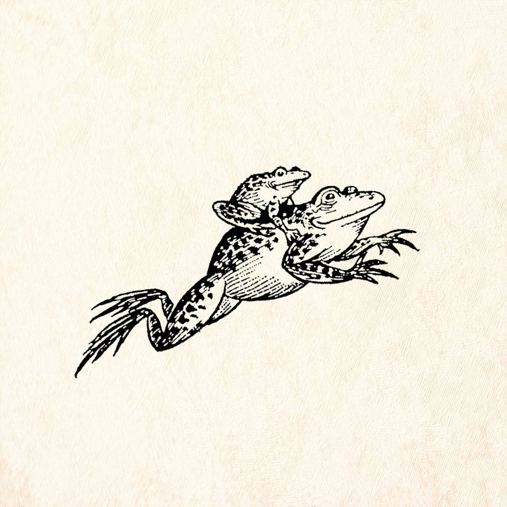 StampaFe Leap Frog Rubber Art Stamp