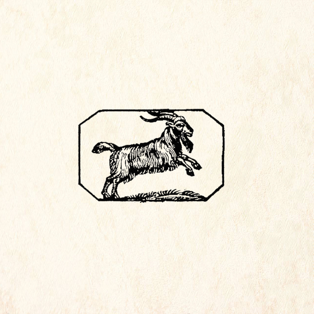 StampaFe Capricorn Celestial Rubber Art Stamp