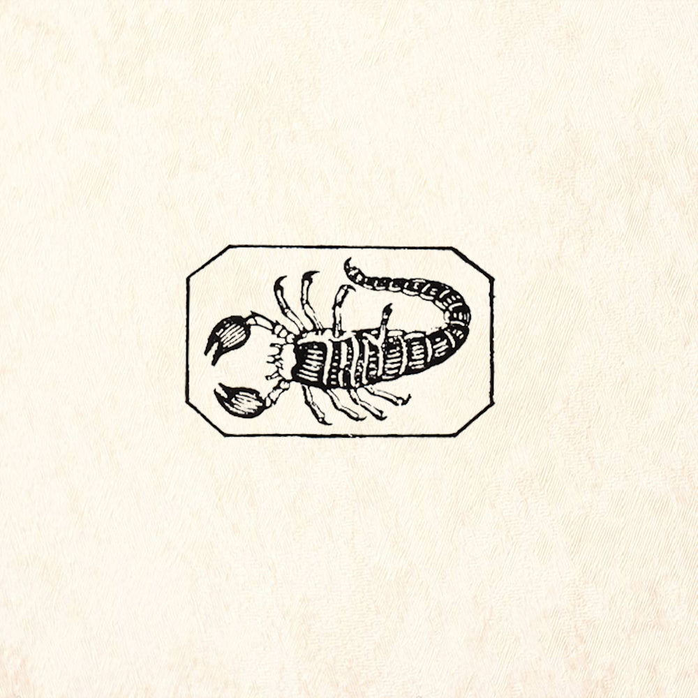 StampaFe Scorpio Celestial Rubber Art Stamp