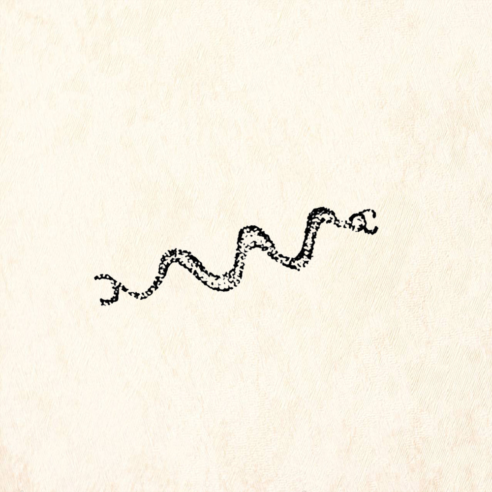 StampaFe Sand Snake Southwest Rubber Art Stamp