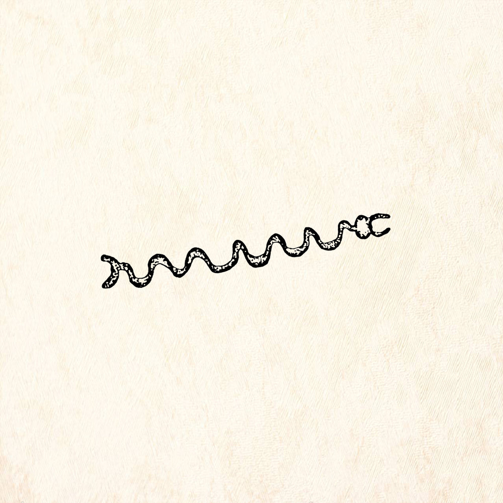 StampaFe Water Snake Southwest Rubber Art Stamp
