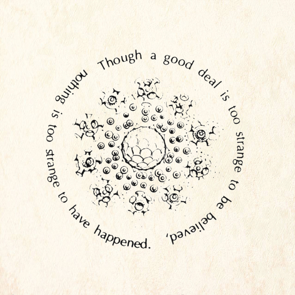 StampaFe Though A Good Deal Is Too Strange To Be Believed Rubber Art Stamp