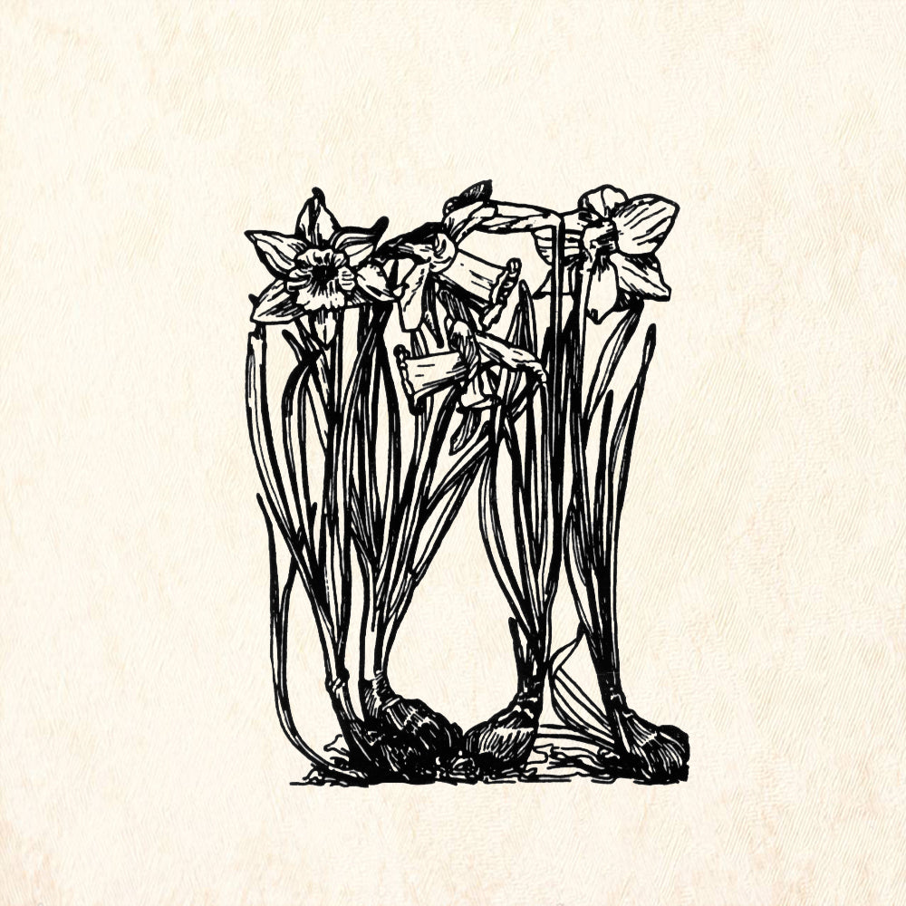 StampaFe Daffodils Botanical Rubber Art Stamp