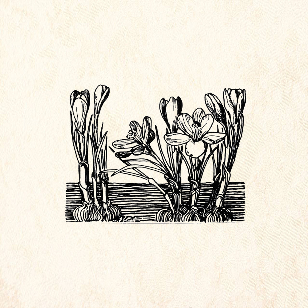 StampaFe Crocus Botanical Rubber Art Stamp