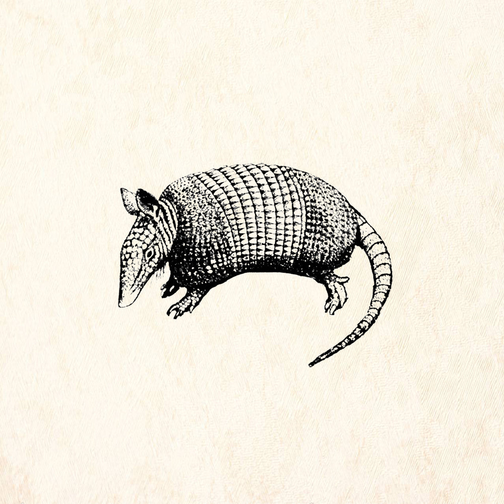 StampaFe Armadillo Southwest Rubber Art Stamp