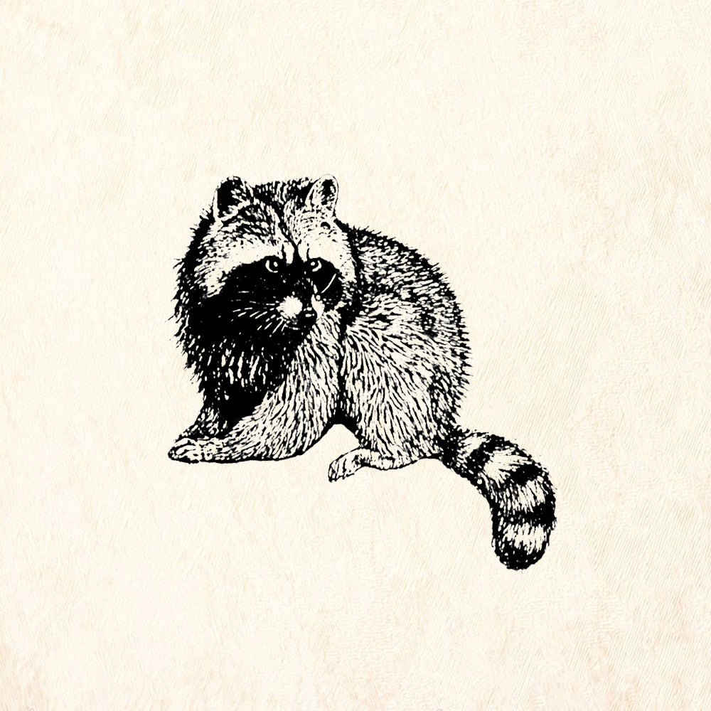 StampaFe Mexican Raccoon Animal Rubber Art Stamp