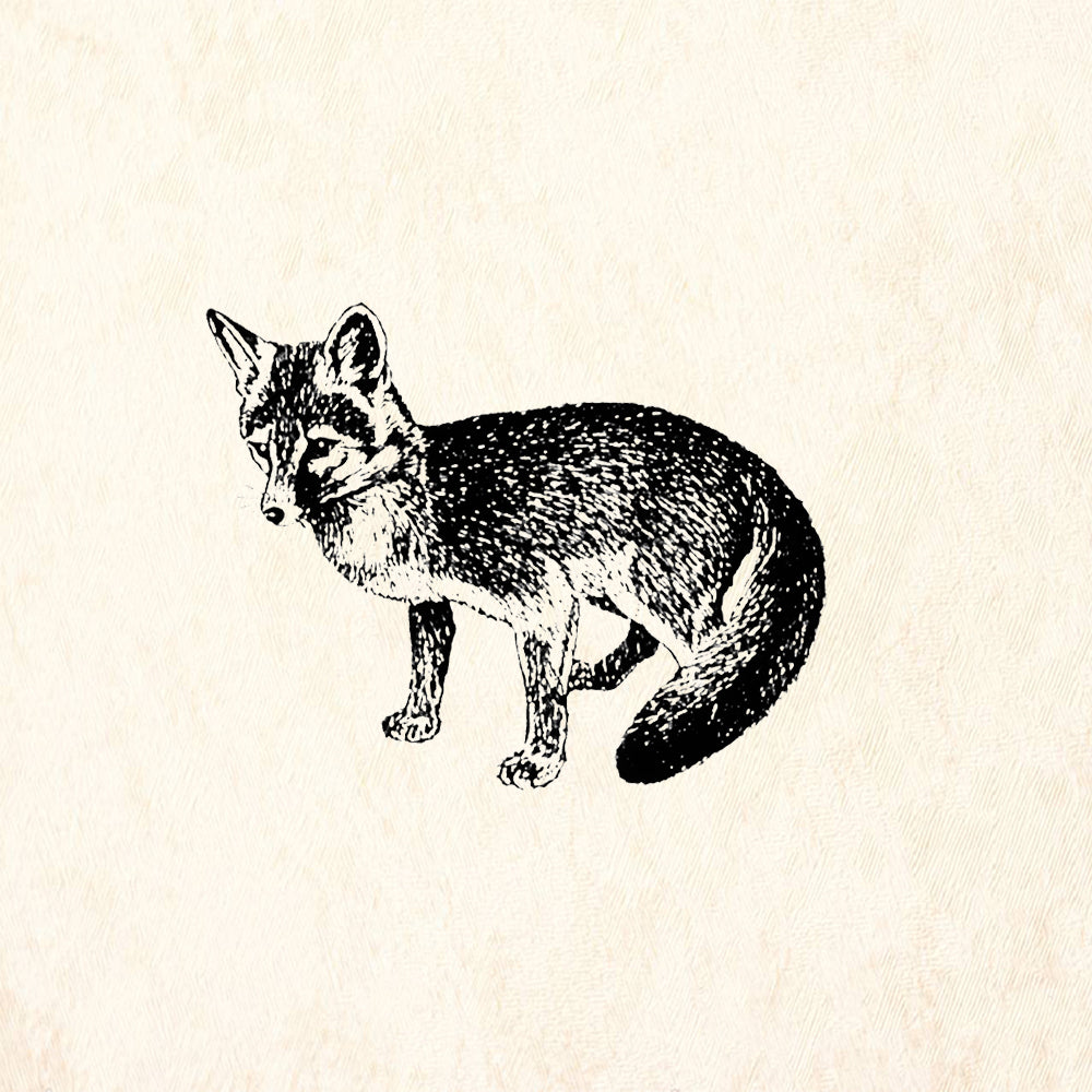 StampaFe Gray Fox Animal Rubber Art Stamp