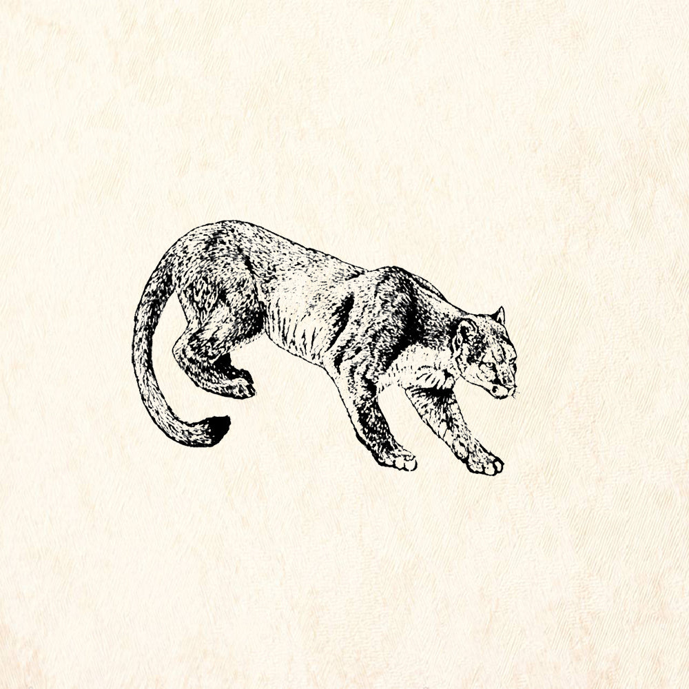 StampaFe Mountain Lion Southwest Rubber Art Stamp