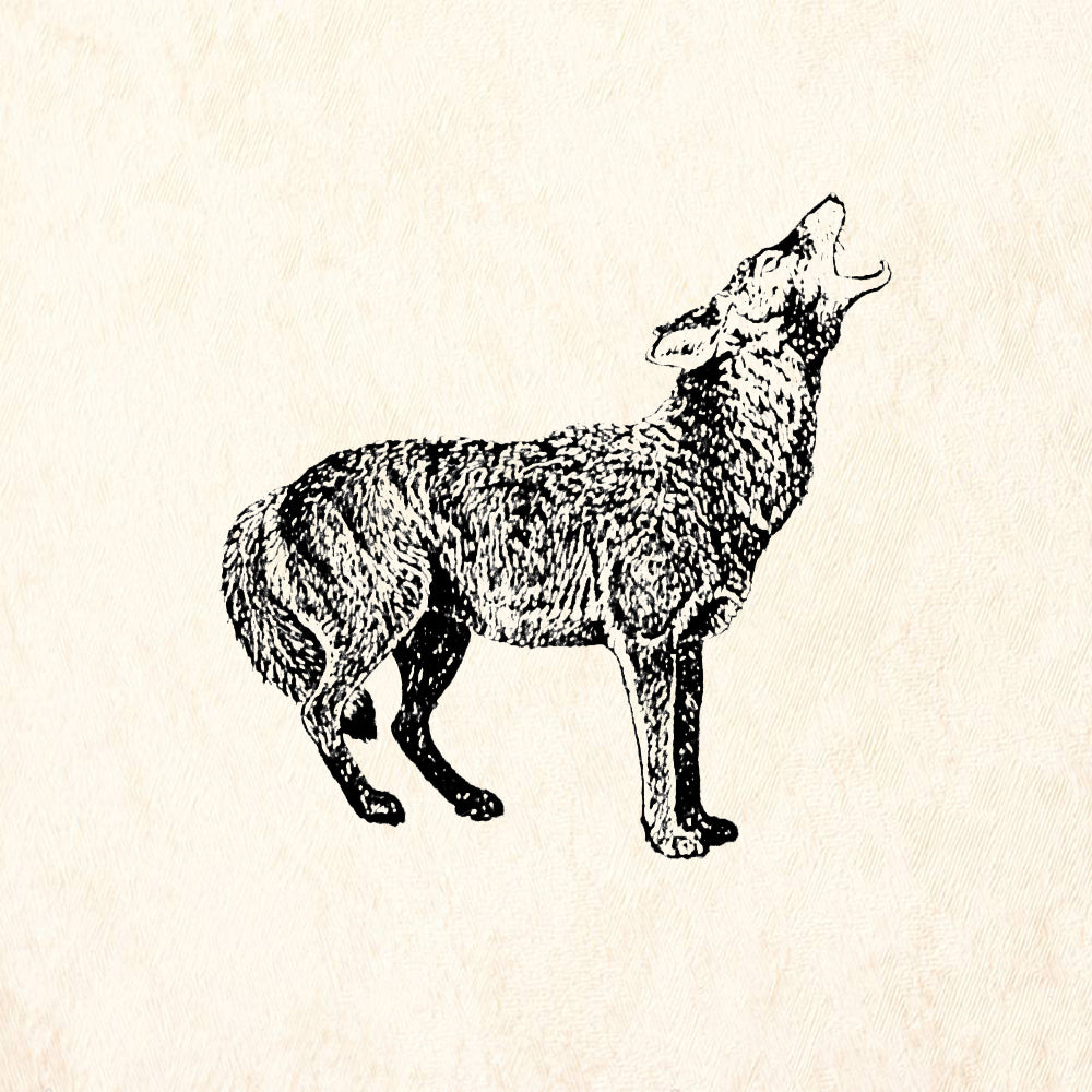 StampaFe Coyote Southwest Rubber Art Stamp