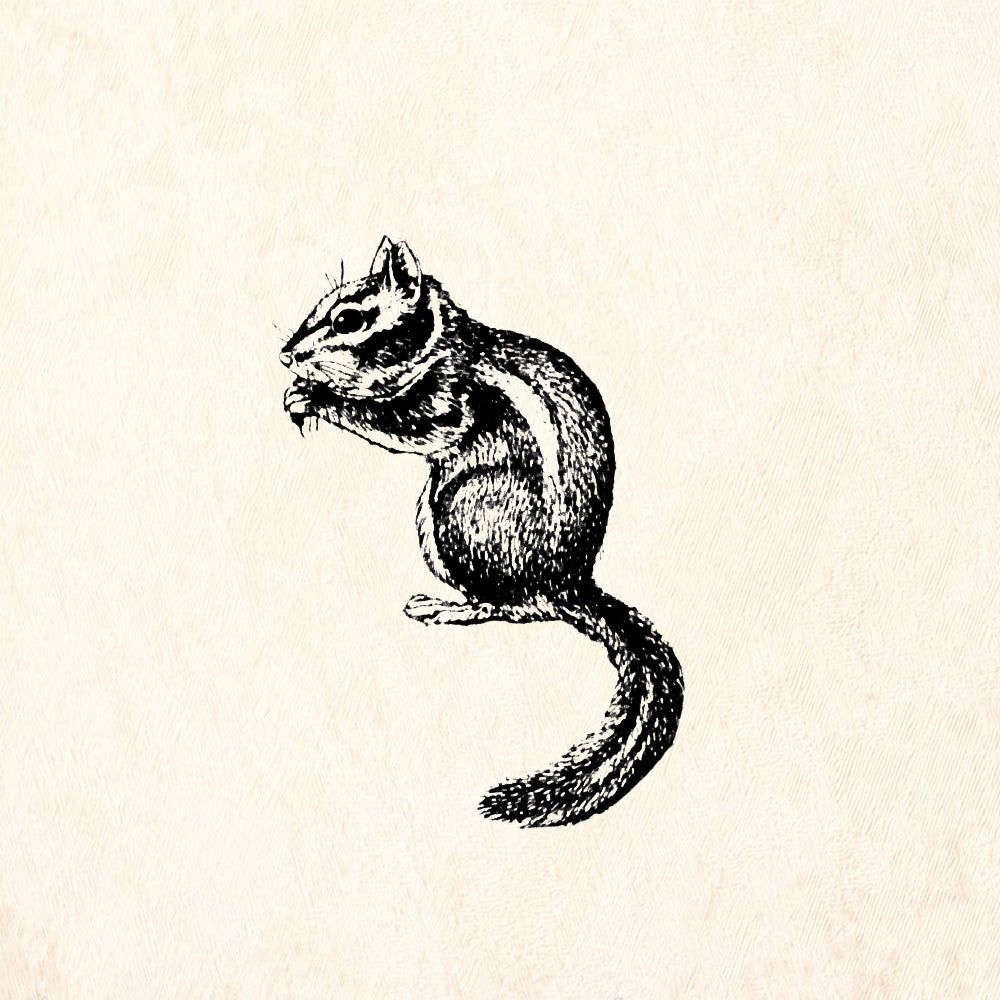StampaFe Cliff Chipmunk Animal Rubber Art Stamp