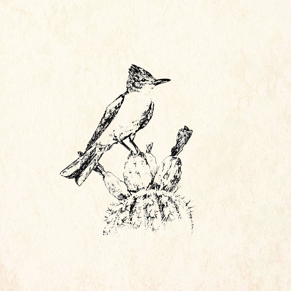 StampaFe Flycatcher Southwest Rubber Art Stamp