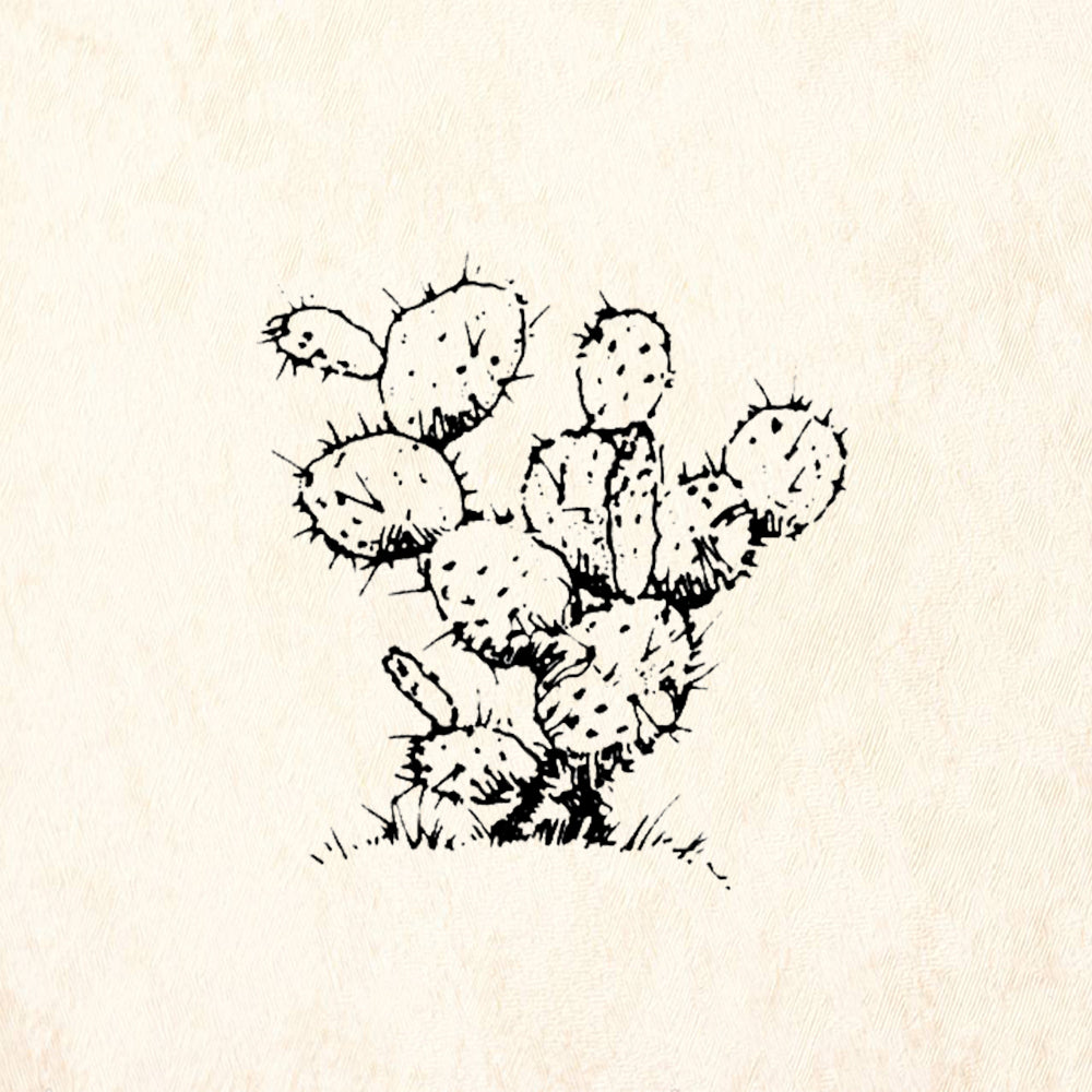 StampaFe Opuntia Cactus Southwest Rubber Art Stamp