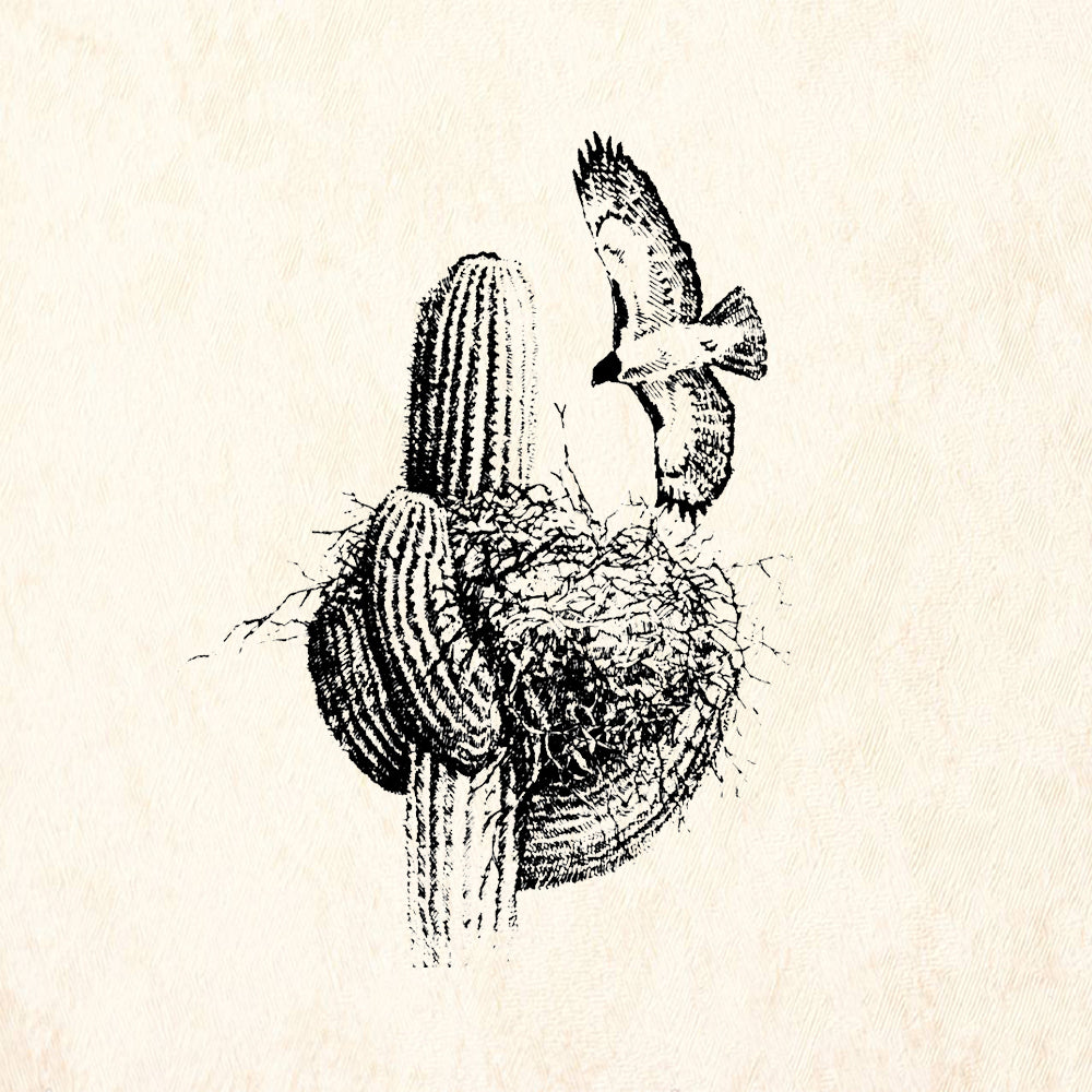 StampaFe Hawk Nest Southwest Rubber Art Stamp