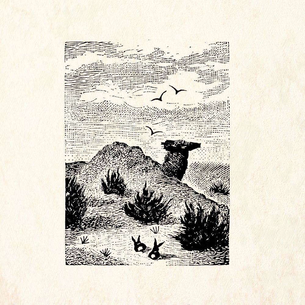 StampaFe Camel Rock Southwest Nature Rubber Art Stamp