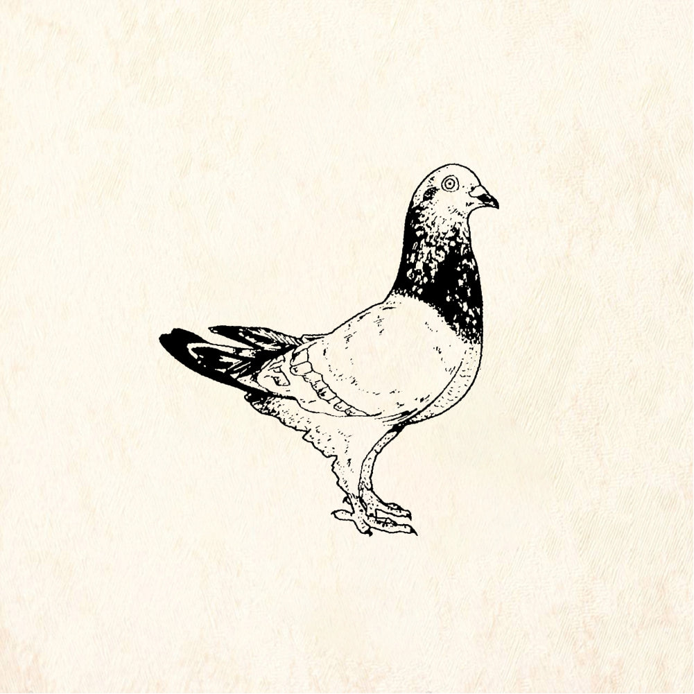 StampaFe Homing Pigeon - Rubber Stamp 1.5 x 1.75