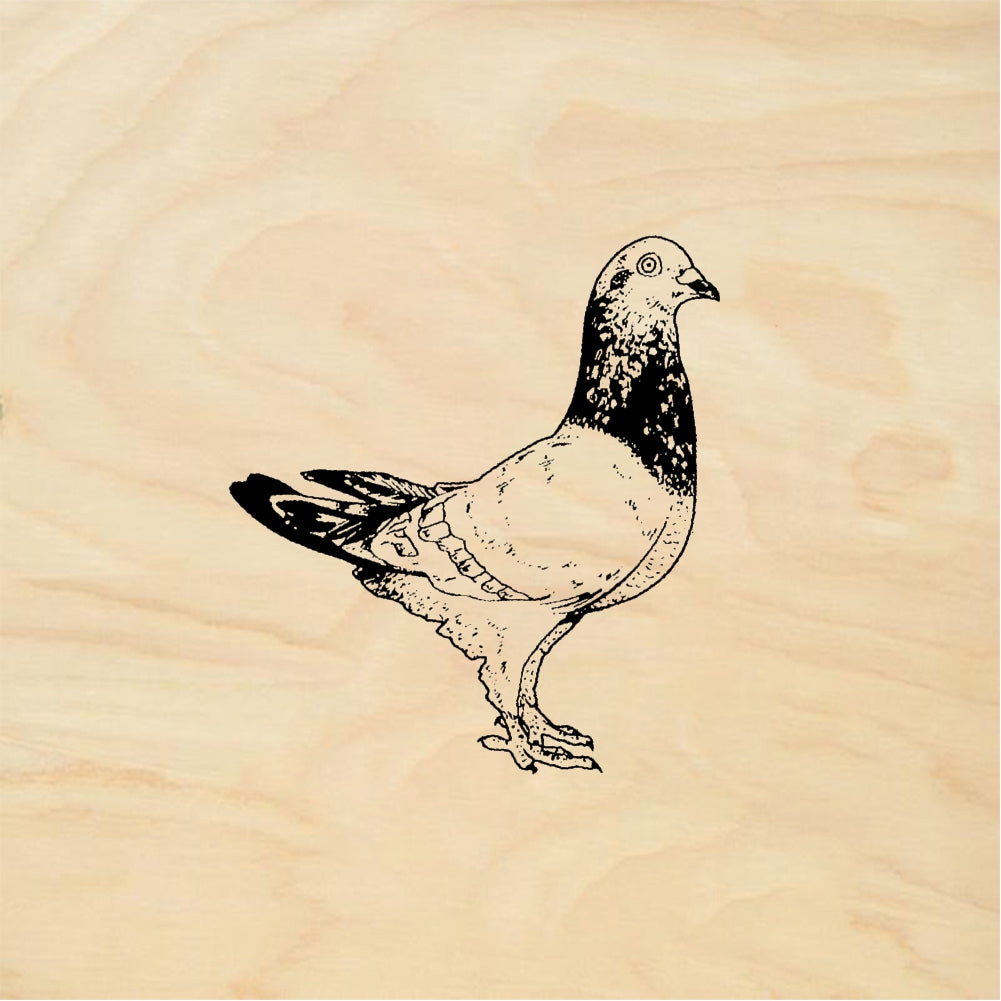 StampaFe Homing Pigeon - Rubber Stamp 1.5 x 1.75