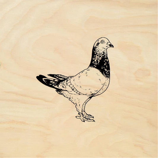 StampaFe Homing Pigeon - Rubber Stamp 1.5 x 1.75