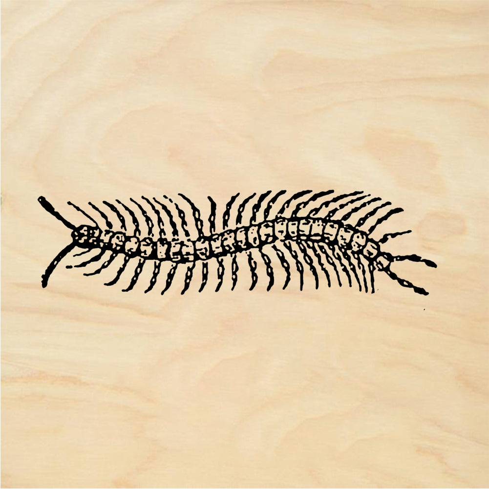 StampaFe Centipede - Rubber Stamp 1.75 x 1