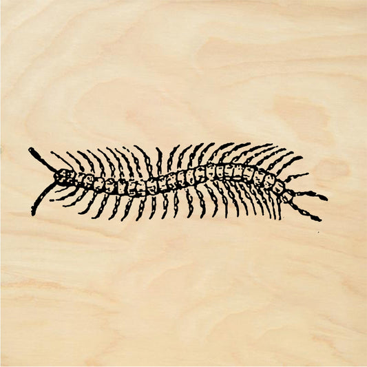 StampaFe Centipede - Rubber Stamp 1.75 x 1