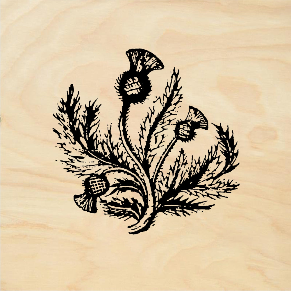 StampaFe Thistle, lg. Thistle Flower - Rubber Stamp 1.25 x 2