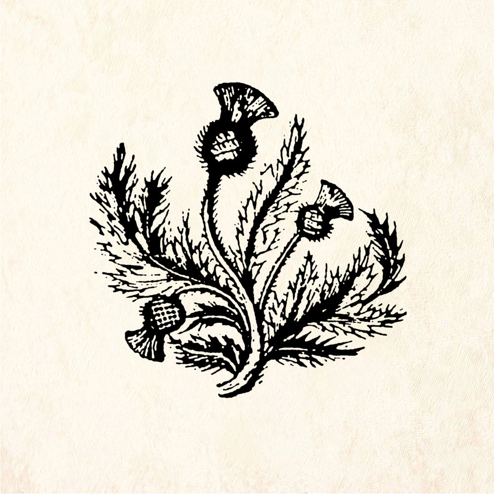 StampaFe Thistle, lg. Thistle Flower - Rubber Stamp 1.25 x 2