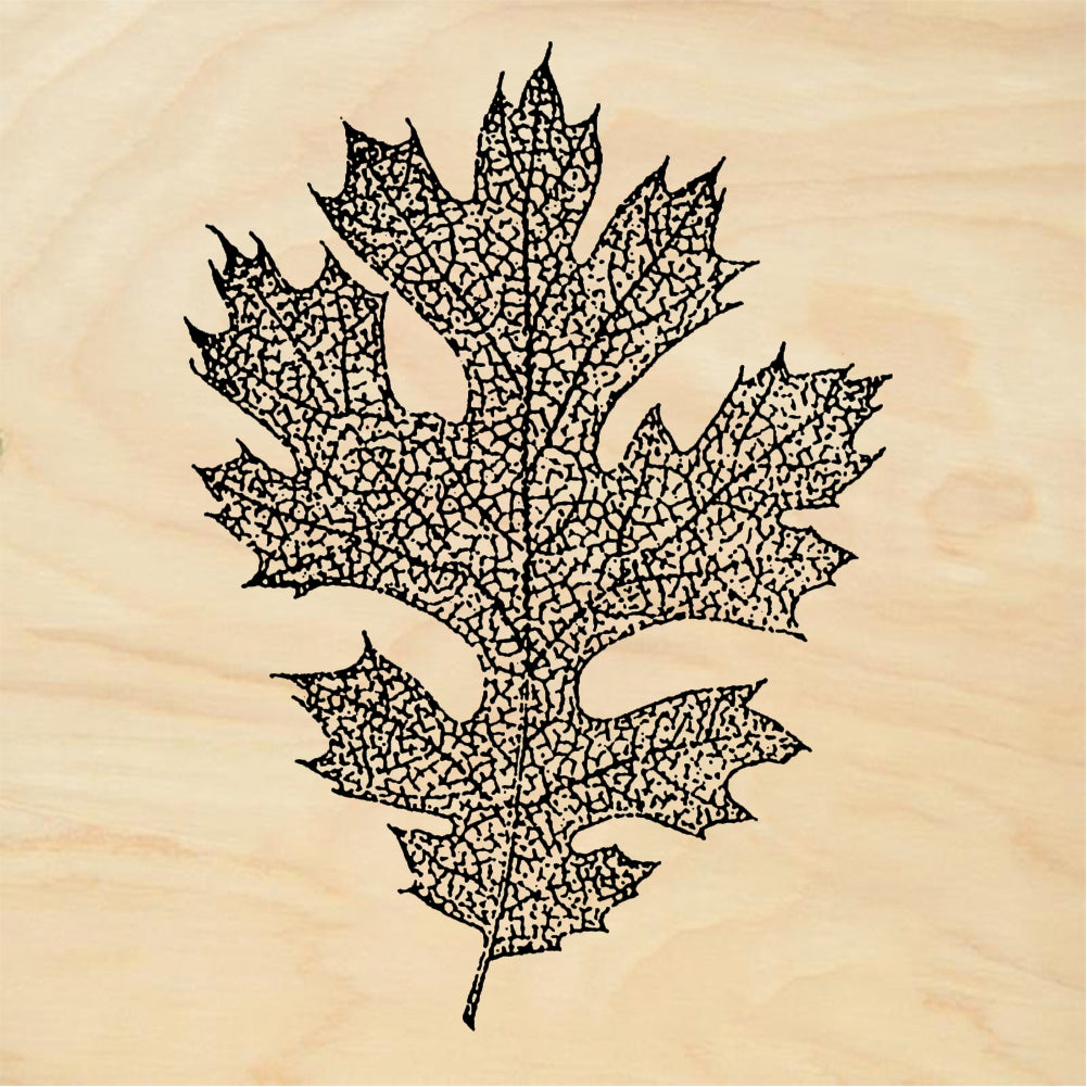 StampaFe Oak leaf, lg. -\ - Rubber Stamp 1 x 2