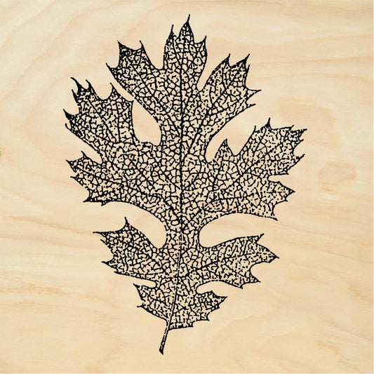 StampaFe Oak leaf, lg. -\ - Rubber Stamp 1 x 2