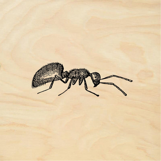 StampaFe Ant, side view Ant Side View - Rubber Stamp 1.75 x 0.5