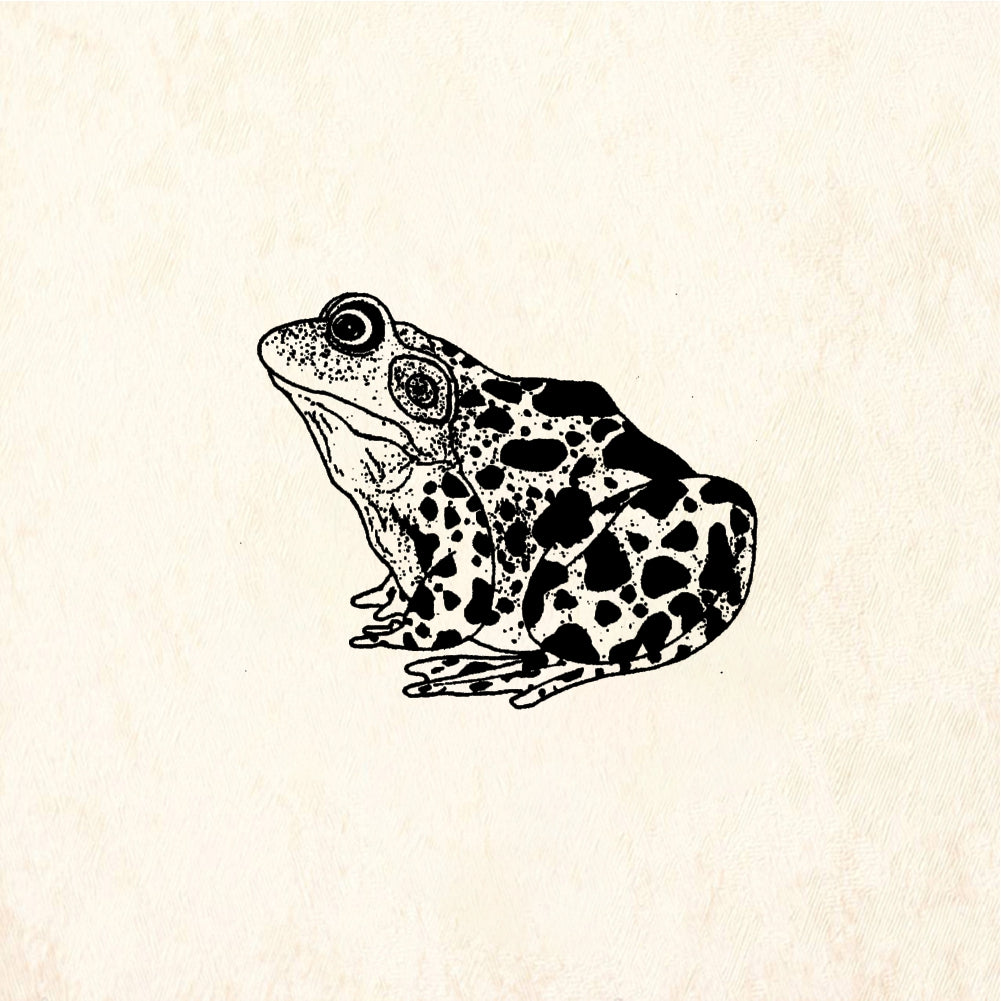 StampaFe Bullfrog - Rubber Stamp 1.5 x 2