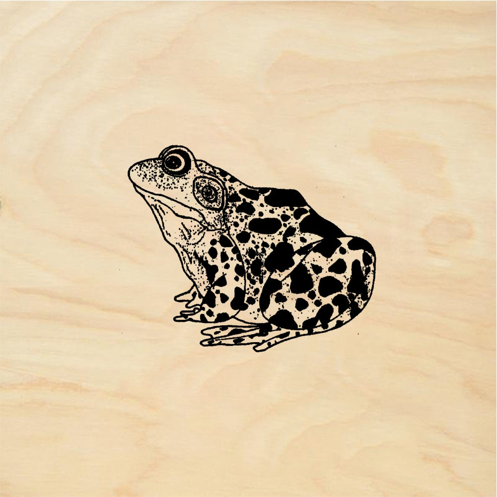 StampaFe Bullfrog - Rubber Stamp 1.5 x 2