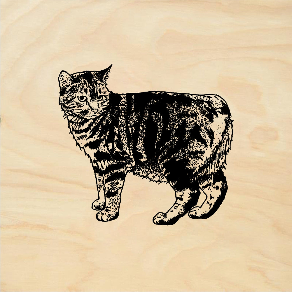 StampaFe Manx Cat - Rubber Stamp 2 x 1.75