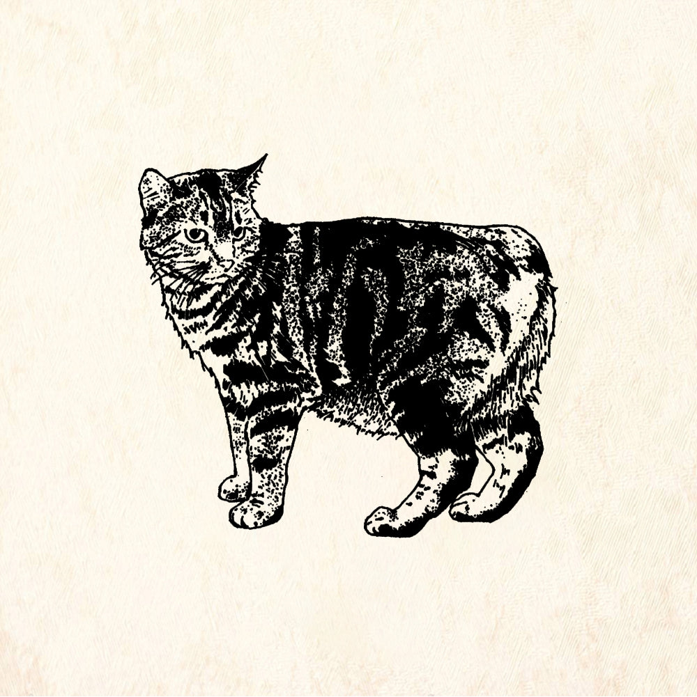 StampaFe Manx Cat - Rubber Stamp 2 x 1.75
