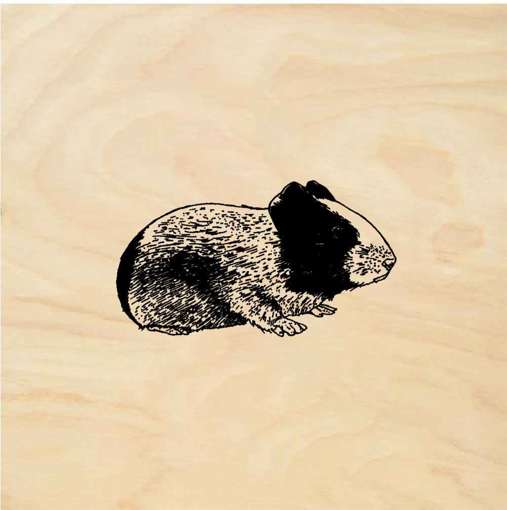 StampaFe Guinea Pig - Rubber Stamp 1.75 x 0.75