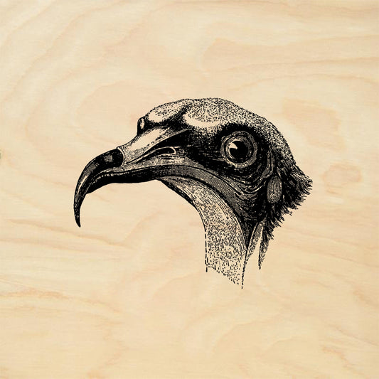 StampaFe Egyptian vulture - Rubber Stamp 1.75 x 1.5