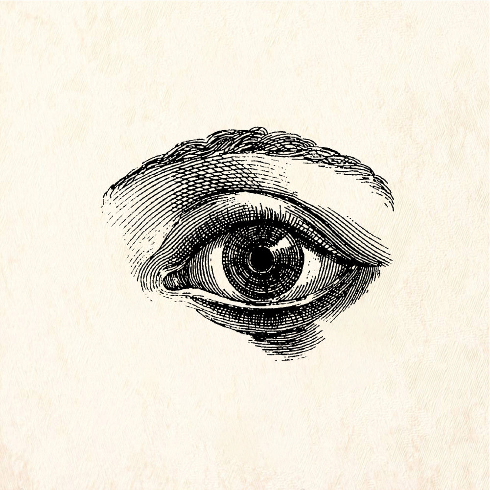 StampaFe Eye, front view Front View Eye - Rubber Stamp 1 x 1.25