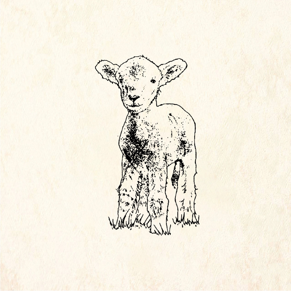 StampaFe Lamb Detailed Young Lamb - Rubber Stamp 0.75 x 1.5