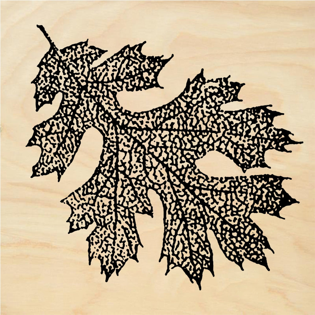 StampaFe Oak Leaf, sm. Small Oak Leaf - Rubber Stamp 0.75 x 1