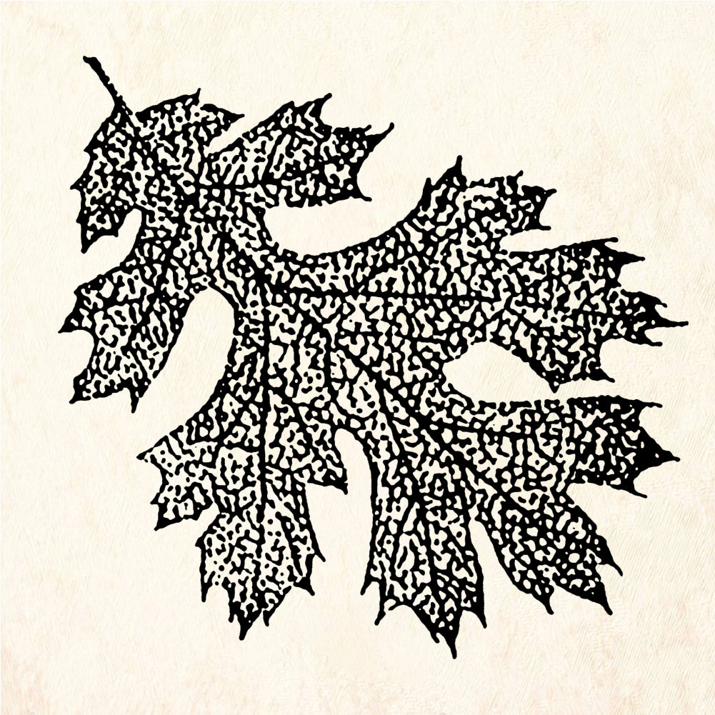 StampaFe Small Oak Leaf Rubber Stamp 1 x 1