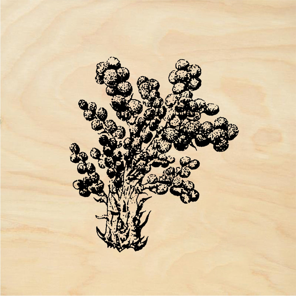 StampaFe Tree of good - Rubber Stamp 1.75 x 1.75
