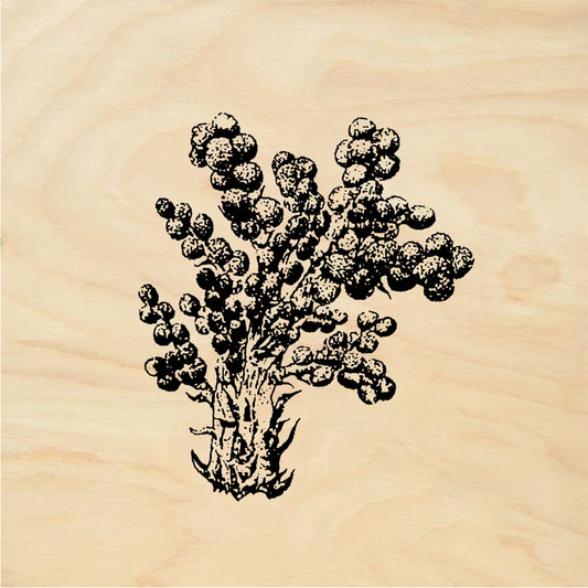 StampaFe Tree of good - Rubber Stamp 1.75 x 1.75