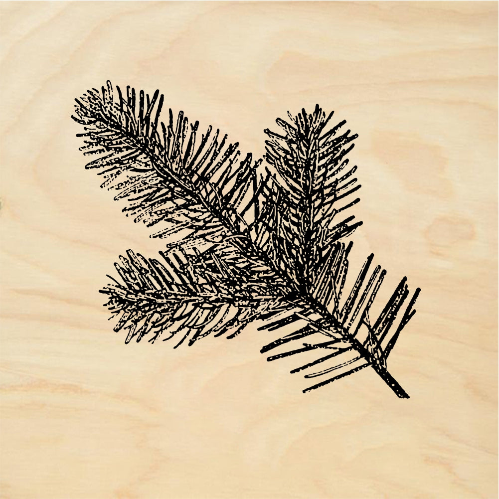 StampaFe Silver fir twig Fir Twig - Rubber Stamp 1.25 x 1.75