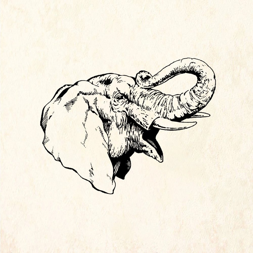 StampaFe Elephant Head Detailed Elephant - Rubber Stamp 2.25 x 1.5