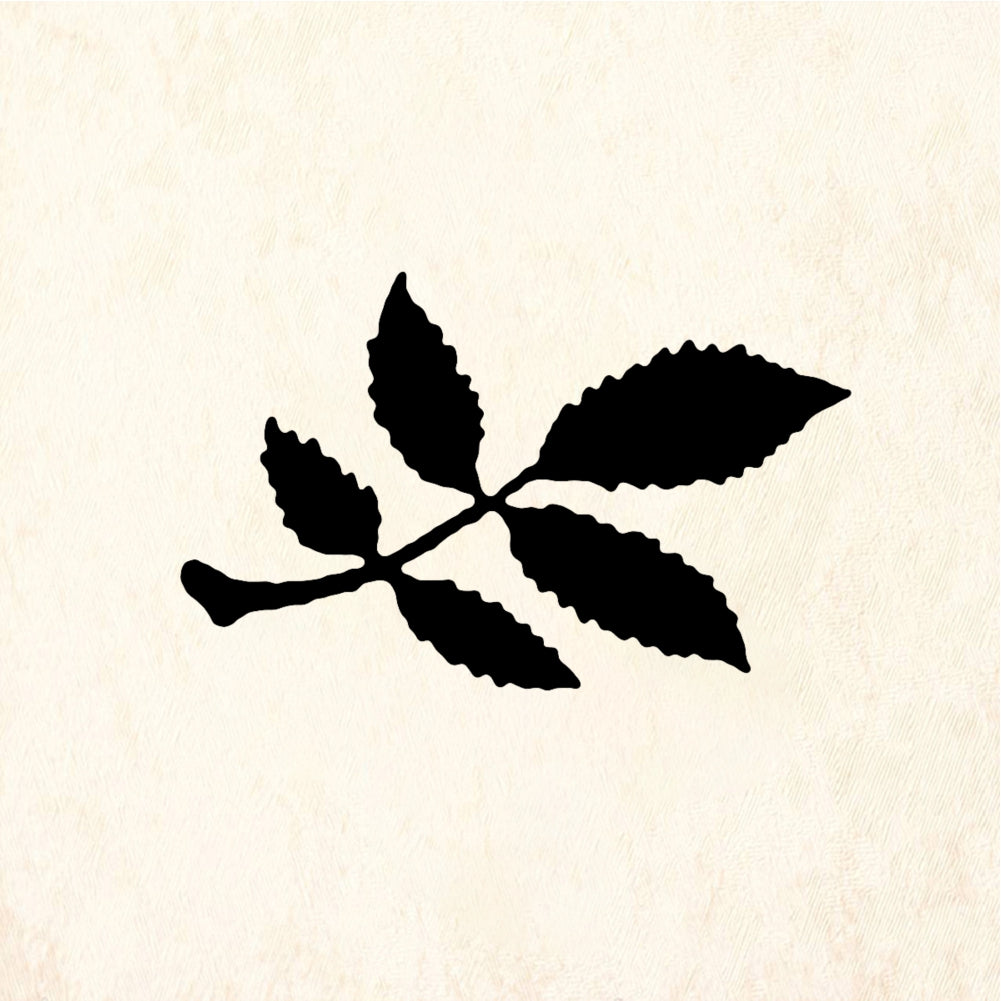 StampaFe Leaf doodad Leaf Accent - Rubber Stamp 0.75 x 1