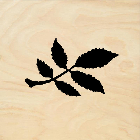StampaFe Leaf doodad Leaf Accent - Rubber Stamp 0.75 x 1